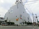 ダイエー泉大津店(スーパー)まで816m ハイツ菅原