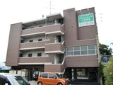 フォレストインサイドⅤ