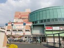 コノミヤアプラ高石店(スーパー)まで353m モアエクセル高石