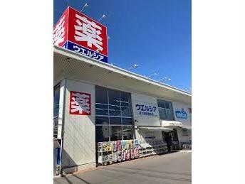 ウエルシア泉大津東豊中店(ドラッグストア)まで314m エル・セレーノ府中