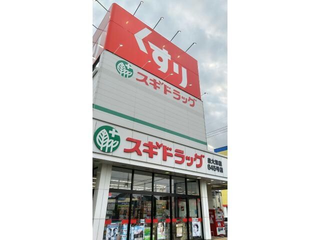 スギドラッグ泉大津店(ドラッグストア)まで205m GRECALE松ノ浜