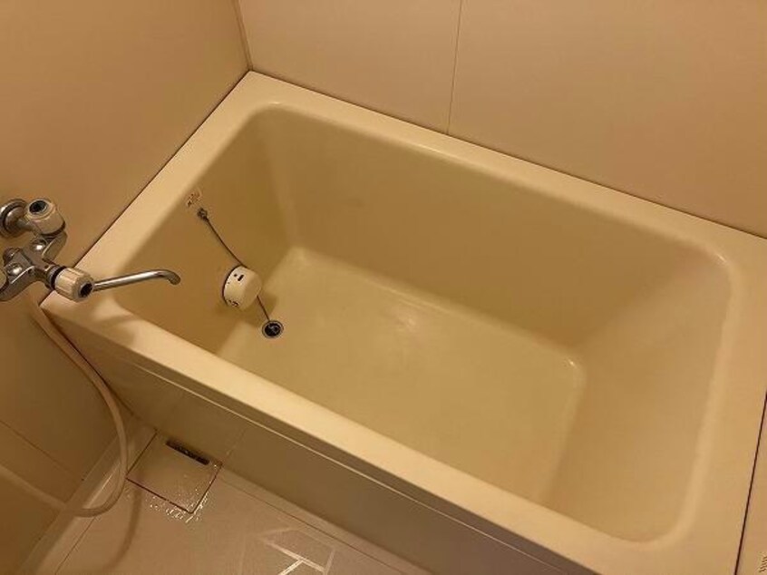  セントエルモ高石