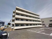 カサド・エムズ