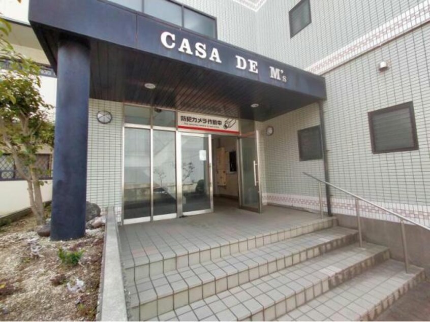  カサド・エムズ