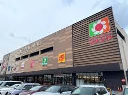 デイリーカナートイズミヤカナートモール和泉府中店(スーパー)まで653m アンソレイエⅠ