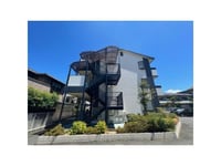 グリーン・フォーレスト