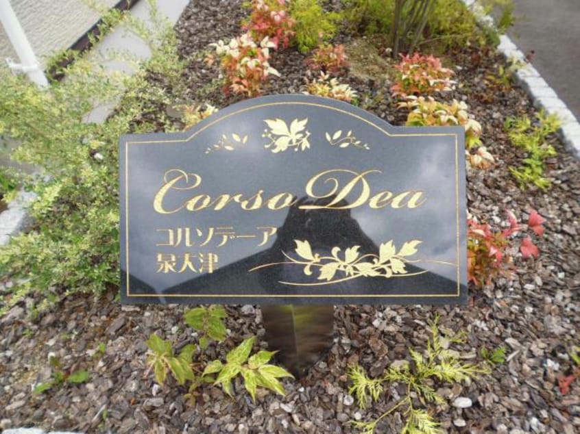  コルソデーア泉大津