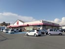 松源岸和田中井店(スーパー)まで704m ヴィラ　フルールⅠ