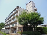 グレース泉大津