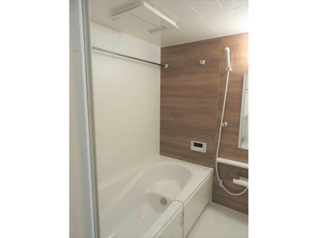  Ｄｅｎｄｒｉｔｅ