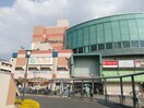 コノミヤアプラ高石店(スーパー)まで834m フジパレス高石千代田Ⅱ番館