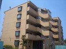 カターラオーシマの外観