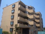 カターラオーシマ