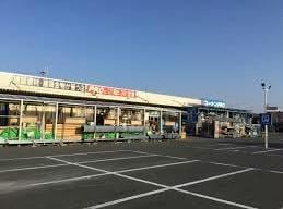 ホームセンターコーナン泉大津店(電気量販店/ホームセンター)まで362m ポンテ　アルト　池上　A