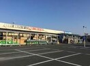 ホームセンターコーナン泉大津店(電気量販店/ホームセンター)まで362m ポンテ　アルト　池上　A