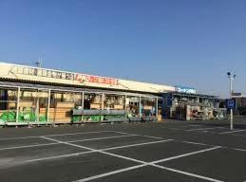 ホームセンターコーナン泉大津店(電気量販店/ホームセンター)まで362m ポンテ　アルト　池上　A