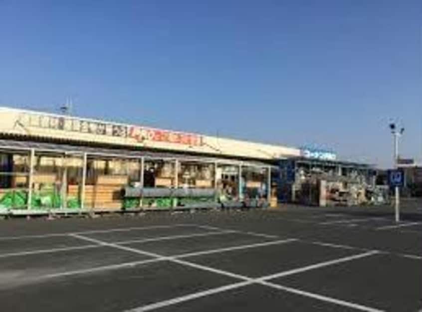 ホームセンターコーナン泉大津店(電気量販店/ホームセンター)まで362m ポンテ　アルト　池上　A
