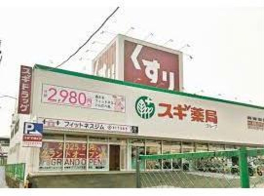 スギドラッグ和泉富秋店(ドラッグストア)まで793m ポンテ　アルト　池上　B