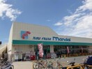 万代和泉府中店(スーパー)まで1013m 池上町2丁目貸家
