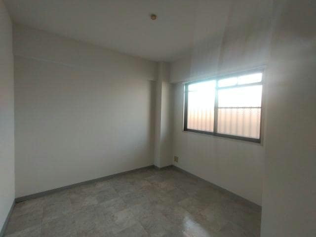  Collection和泉府中