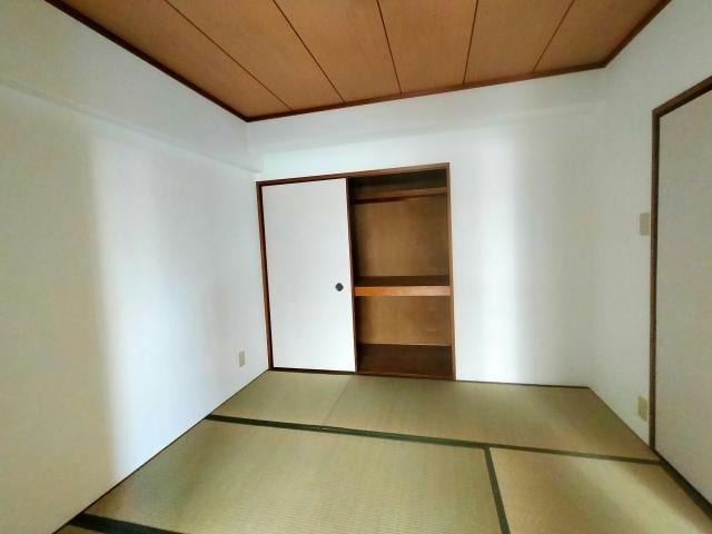  Collection和泉府中