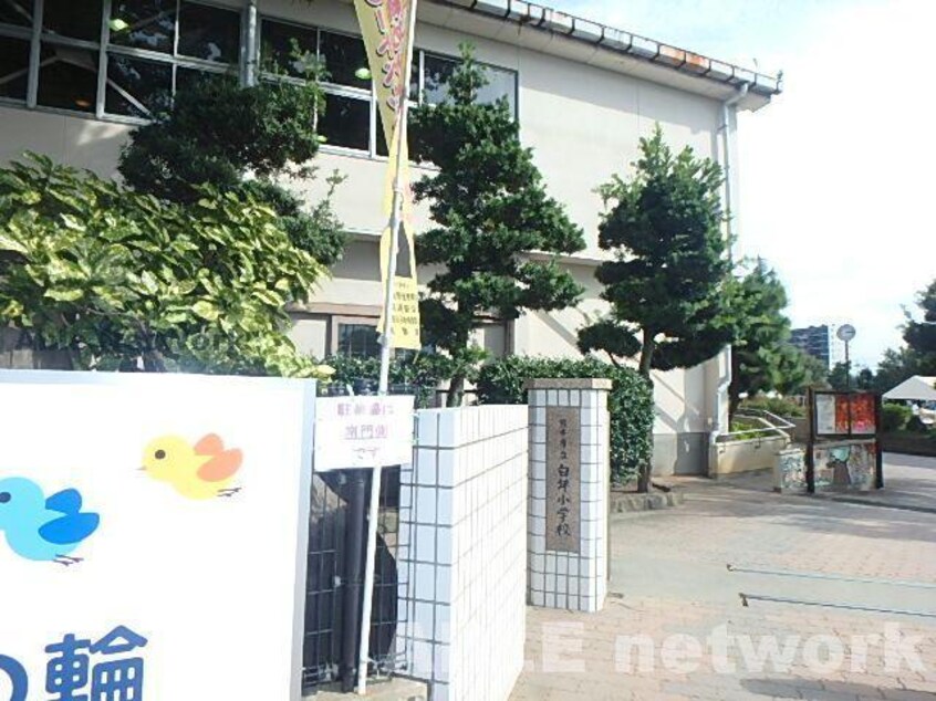 熊本市立白坪小学校(小学校)まで947m 熊本市営バス/町口神社前 徒歩1分 4階 築30年