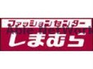 ファッションセンターしまむら野中店(ショッピングセンター/アウトレットモール)まで316m ウィルモアノナカガーデン