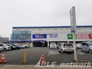 エディオン田迎店(電気量販店/ホームセンター)まで790m ベルフィオーレ