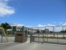 宇城市立松橋小学校(小学校)まで1196m リトモ松橋