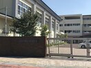 熊本市立田迎西小学校(小学校)まで285m Graceful平成