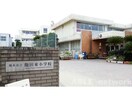 熊本市立飽田東小学校(小学校)まで313m ジュネス・フランⅢ