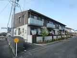 フォレナミユキ