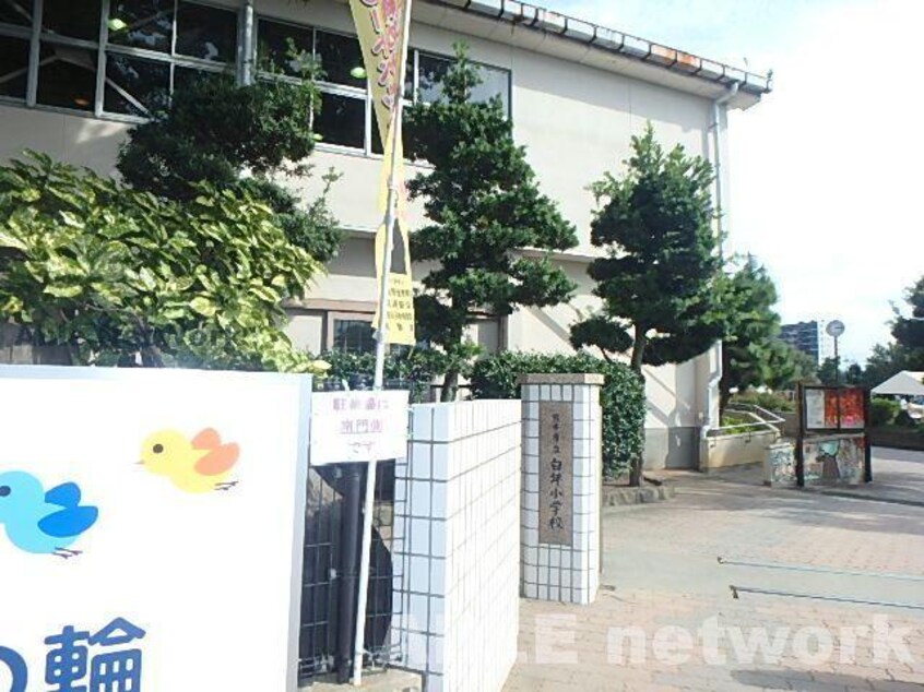 熊本市立白坪小学校(小学校)まで820m ブランシェNONAKA