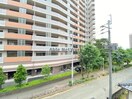  Jeunesse新大江