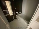 同型 アルティメット国府