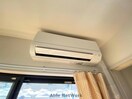 同型 アルティメット国府