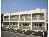 Oasis Izumi