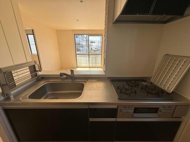 同型 フォーサイト出仲間B