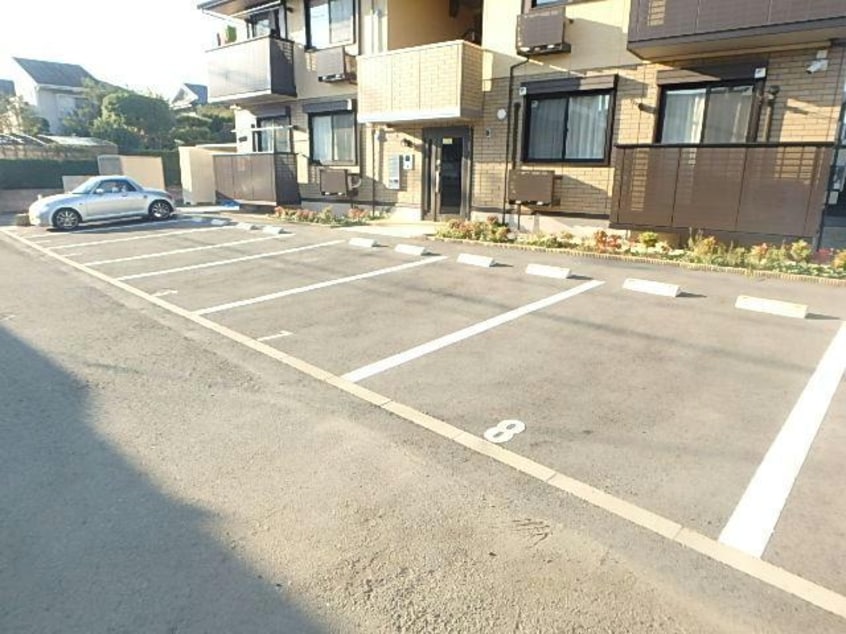  アリーバサル野田