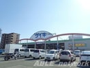 DCMダイキ本山店(電気量販店/ホームセンター)まで767m CB南熊本ヴィータ