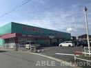 ディスカウントドラッグコスモス田迎店(ドラッグストア)まで998m SUN　TERRACE
