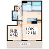 D-room monica 1LDKの間取り