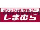 ファッションセンターしまむら野中店(ショッピングセンター/アウトレットモール)まで1812m ルミノーソ