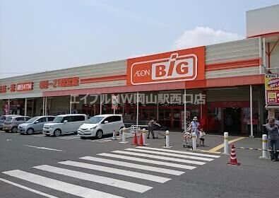 ザ・ビッグ岡山一宮店(ショッピングセンター/アウトレットモール)まで990m 矢坂　磯島邸