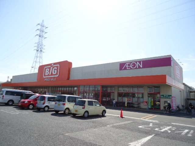 ザ・ビッグ奥田南店(スーパー)まで724m パープルオリエンテ