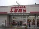 ファッションセンターしまむら下中野店(ショッピングセンター/アウトレットモール)まで628m ディアトレス下中野