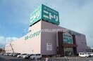 ニトリ岡山店(電気量販店/ホームセンター)まで2025m ピュール・セレネ表町