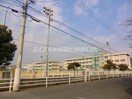 岡山市立大野小学校(小学校)まで565m ピュアローズ　A