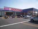 山陽マルナカ高柳店(スーパー)まで747m カーサ・プリメーラ
