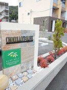  ショコラ　オリーブ